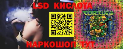 спиды Сланцы