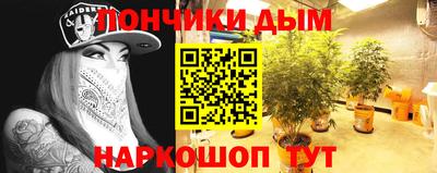 спиды Сланцы